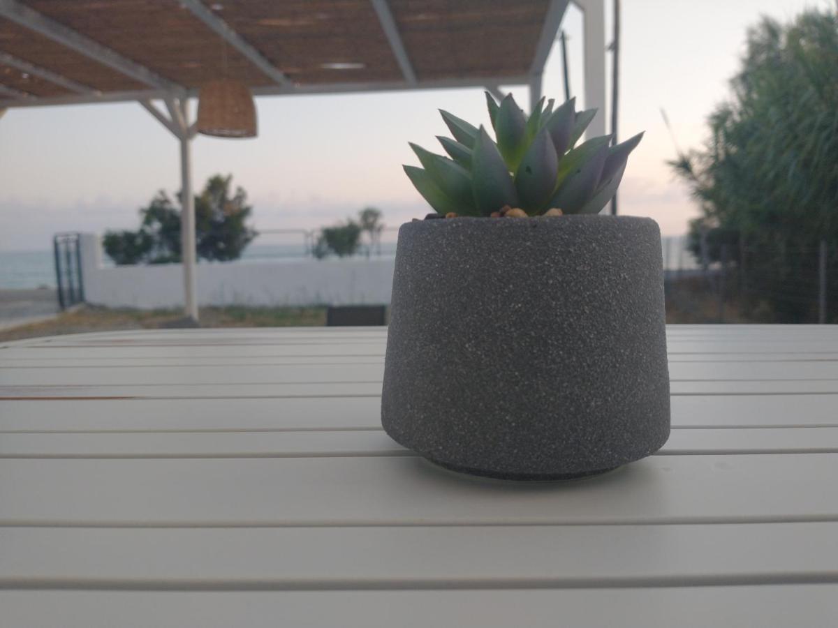 Mini Villas Avra Keratókambos Oda fotoğraf