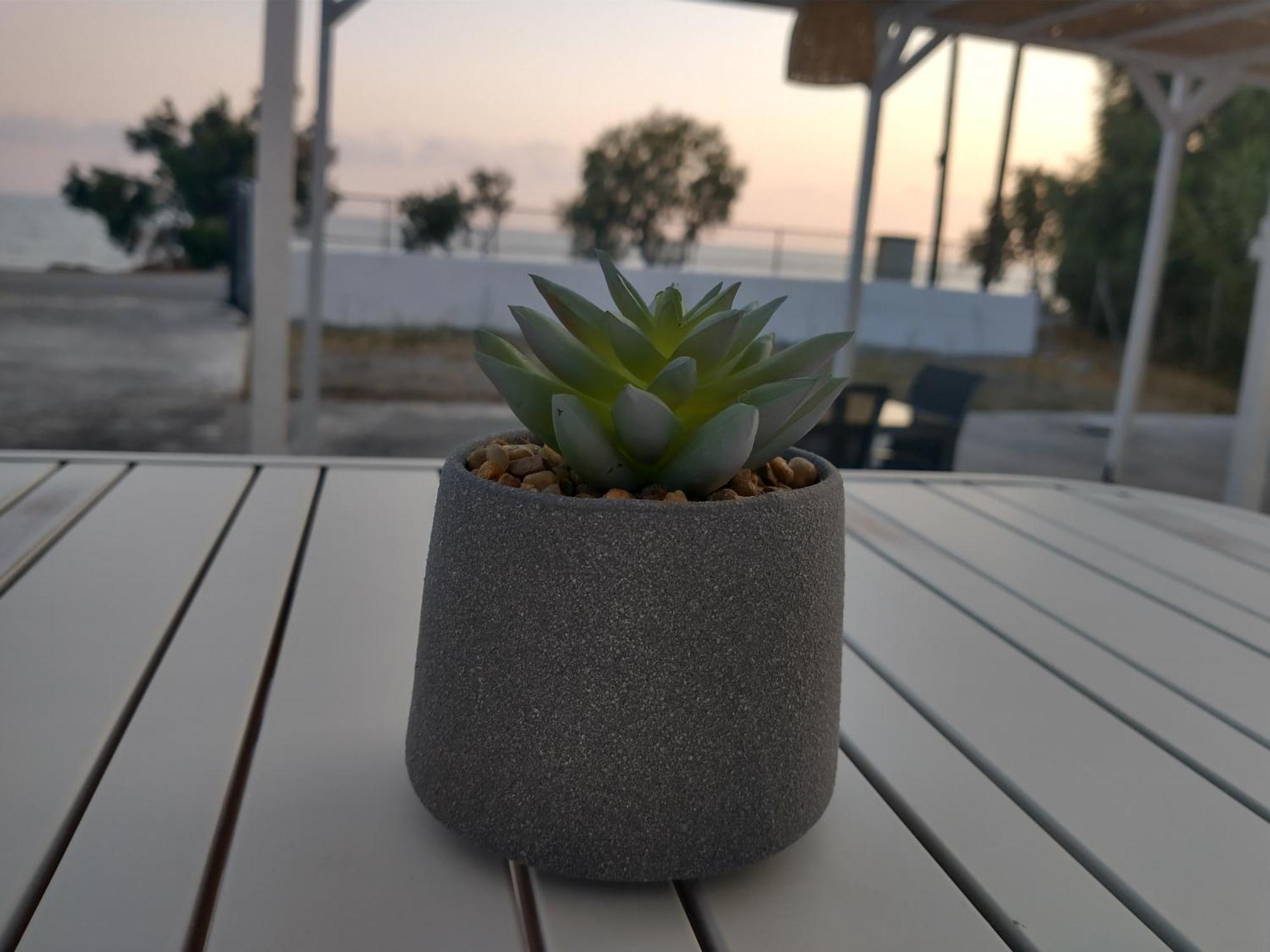 Mini Villas Avra Keratókambos Oda fotoğraf